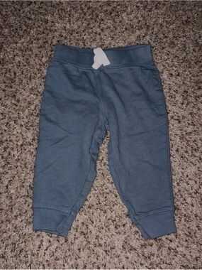 Carter’s Blue Knit Jogger Pants